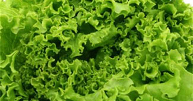 Xà lách - "thần dược" tình dục của người Ai Cập