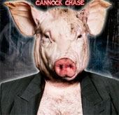 Lý giải hiện tượng Người Lợn gớm ghiếc ở rừng Cannock Chase