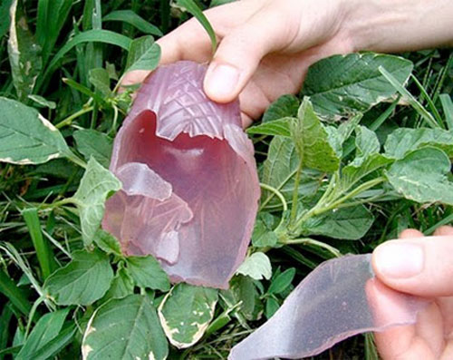 Cốc vừa uống nước, vừa để ăn