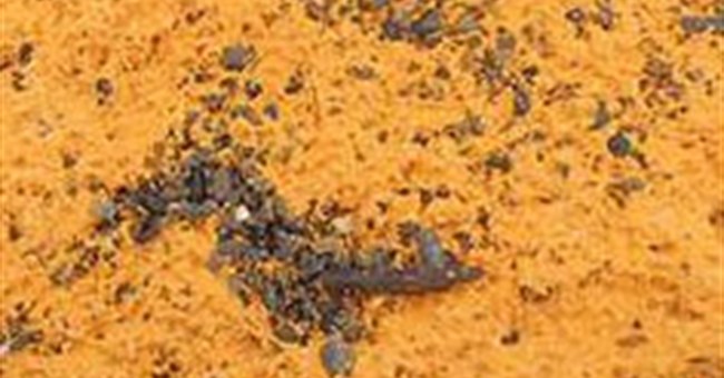 Dị chất cam gây xôn xao Alaska