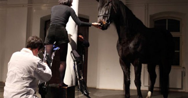 Người "lai" ngựa 