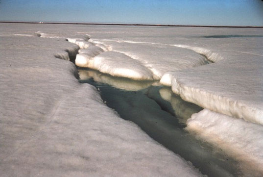 Bắc Cực thải 62 tỷ tấn carbon trong thế kỷ 21
