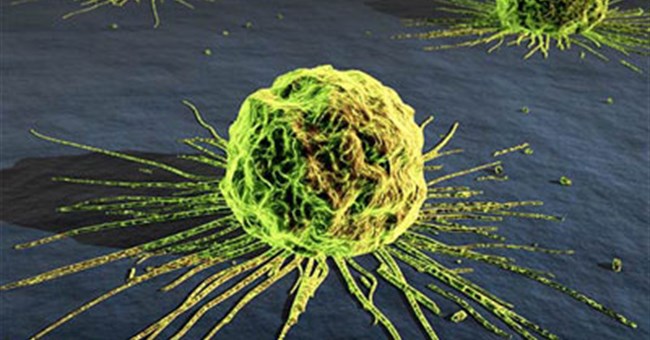 Mô hình toán học mới chống ung thư