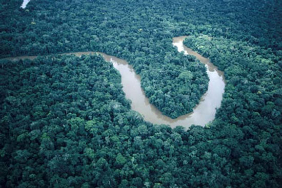 Sông ngầm Amazon không phải là...sông