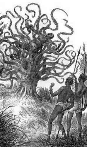 Tranh vẽ cây ăn thịt người của South Australian Register