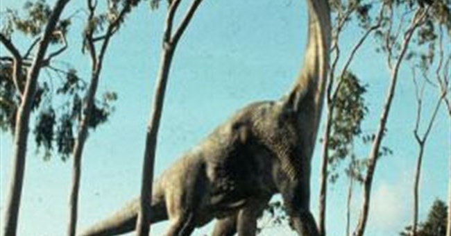 Giải mã cách ăn của khủng long dài nhất hành tinh 