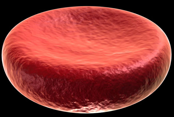 Tế bào gốc giúp tăng được lượng sản xuất hồng cầu