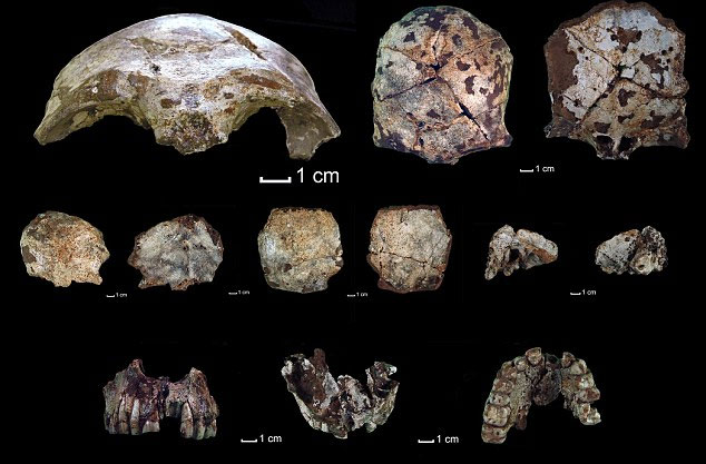Tìm thấy hộp sọ hơn 40.000 năm tuổi tại Lào