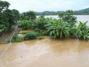 Yên Bái: Mưa lũ khiến 1 người chết, 3 người bị thương