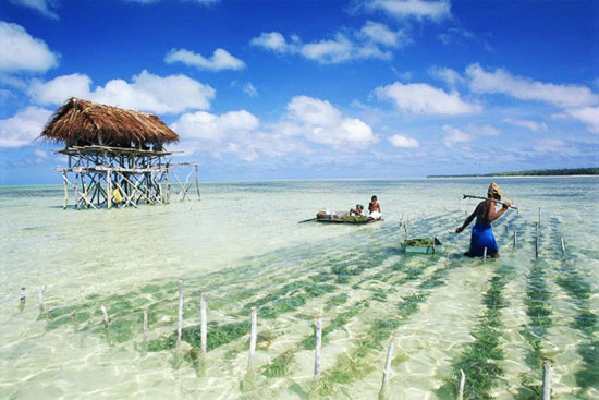 Ngắm hòn đảo 