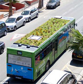 Vườn di động trên nóc xe buýt