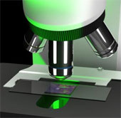 Máy tính tăng độ phân giải cho hình ảnh dưới kính hiển vi
