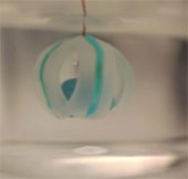 Video: Hydrogel tương tác điện