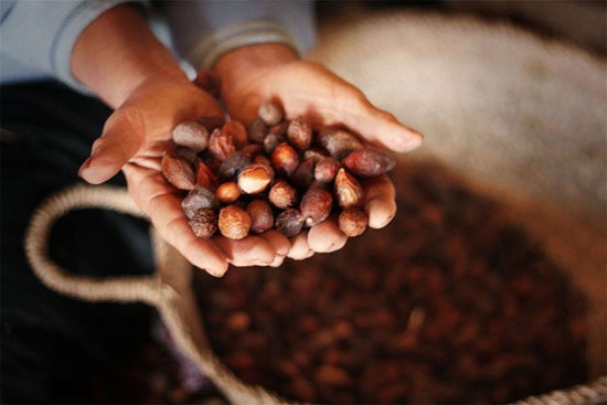 Thăm tộc người sản xuất 