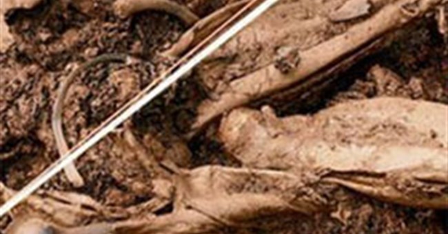 Kì dị “xác ướp đầm lầy” lâu đời nhất thế giới