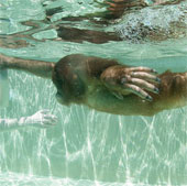 Khỉ học bơi như người