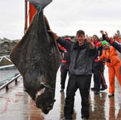 "Choáng" với con cá bơn nặng 232kg