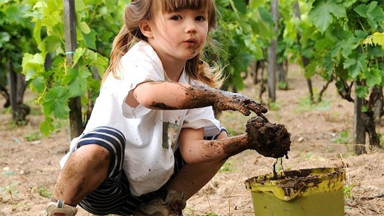 Sự thật về các hội chứng ăn uống 