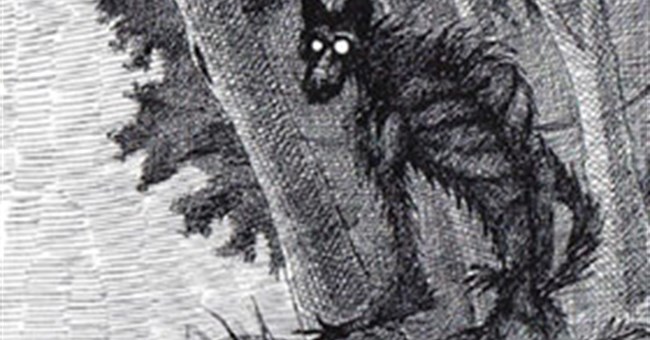 Quỷ hầu - sinh vật huyền bí gây náo loạn rừng núi