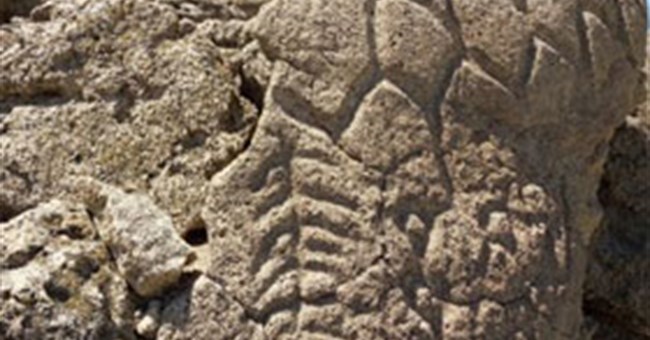Phát hiện hình khắc bí ẩn cổ xưa nhất Bắc Mỹ 