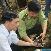 Việt Nam đón 71 con rùa "hồi hương" từ châu Âu