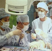 Nhật ghép thành công tế bào gan cho bệnh nhi sơ sinh