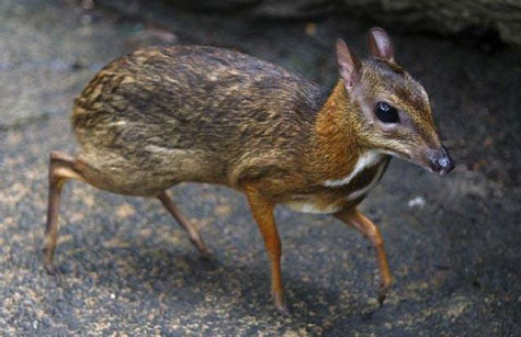 Cận cảnh những 