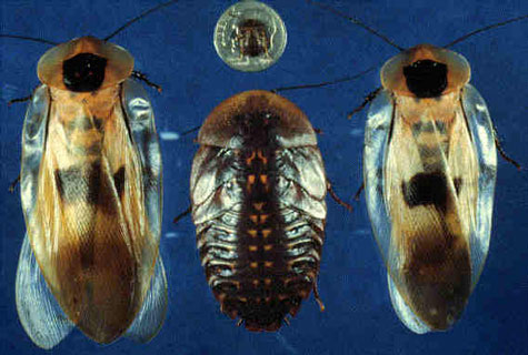 Cận cảnh những 