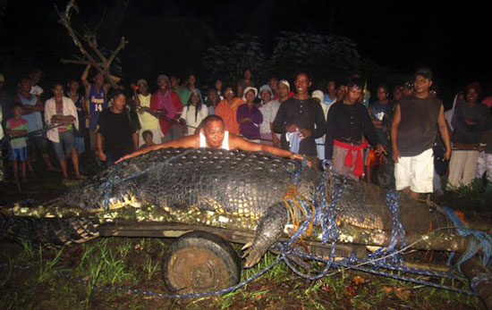 Bắt sống được cá sấu to chưa từng thấy ở Philippines 