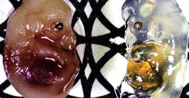 Hợp chất mới khiến cơ thể trở nên trong suốt