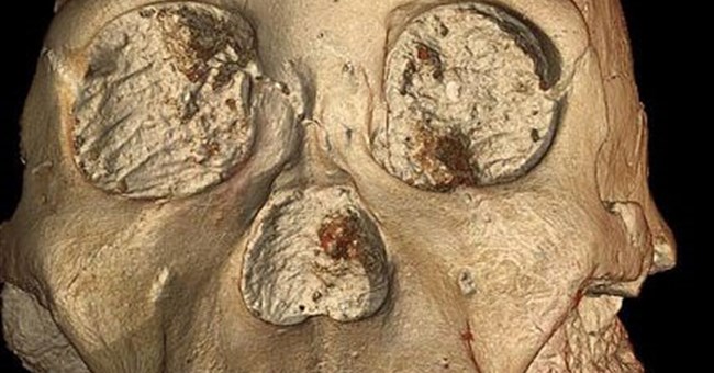 Phát hiện hộp sọ tổ tiên loài người cách 2 triệu năm