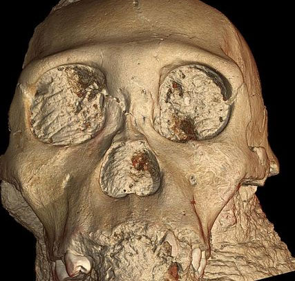 Phát hiện hộp sọ tổ tiên loài người cách 2 triệu năm