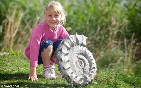 Bé gái 5 tuổi đào được vỏ ốc 160 triệu năm 