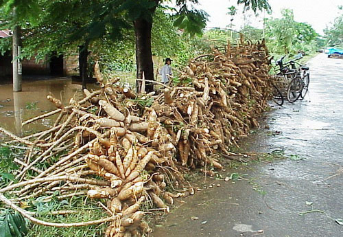 Lâm Đồng: lũ lụt làm 2 người chết