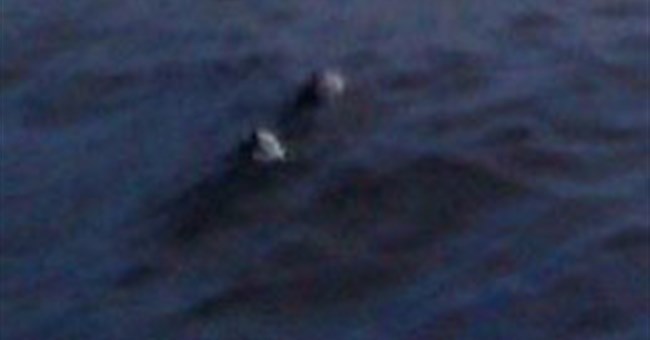 Thủy quái hồ Loch Ness lại xuất hiện 