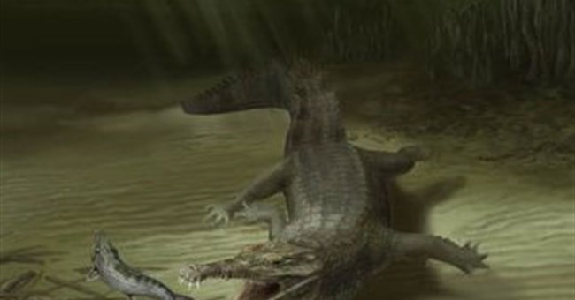 Phát hiện hóa thạch cá sấu khổng lồ dài 6 mét