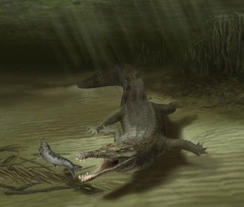 Phát hiện hóa thạch cá sấu khổng lồ dài 6 mét