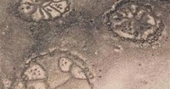 Những hình vẽ bánh xe bí ẩn ở Trung Đông