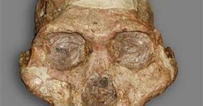 Xác định được sự tiến hóa của vượn người