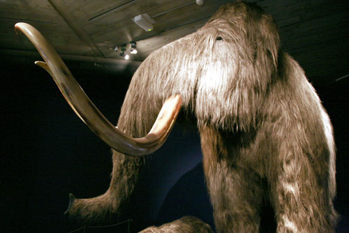 Máu nhân tạo từ voi tiền sử