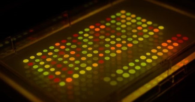 Điệp viên giấu thông điệp trong vi khuẩn