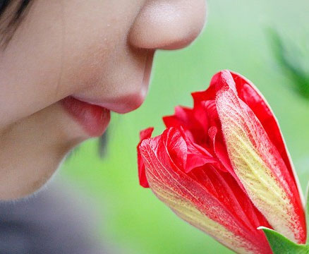 Sắp chữa trị được chứng mất khứu giác bẩm sinh?