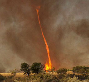 Chiêm ngưỡng lốc xoáy lửa hiếm gặp ở Australia 
