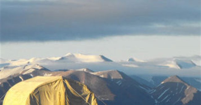 Nhiệt độ ấm lên, rừng hoá thạch sống lại 