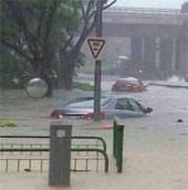 Singapore ngập lụt vì mưa lớn