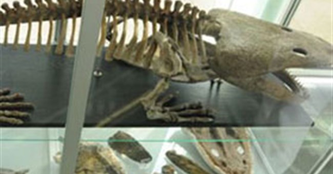 Khủng long khổng lồ đào hang tránh nóng