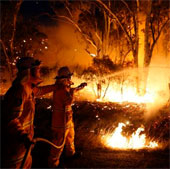 Hàng chục vụ cháy rừng lớn bùng phát tại Australia