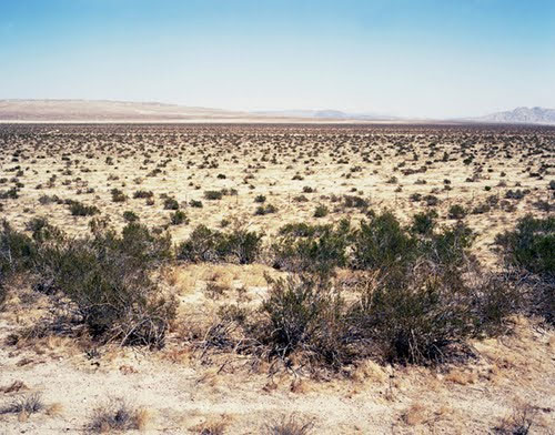 Những sinh vật cổ xưa nhất trên trái đất còn tồn tại ngày nay