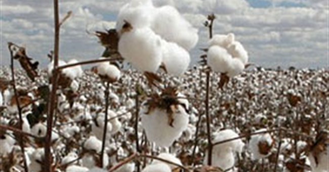 Những phát hiện "nhỏ nhặt" giúp con người "sống dai" hơn