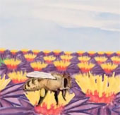 Video: Robot có khả năng thụ phấn như ong